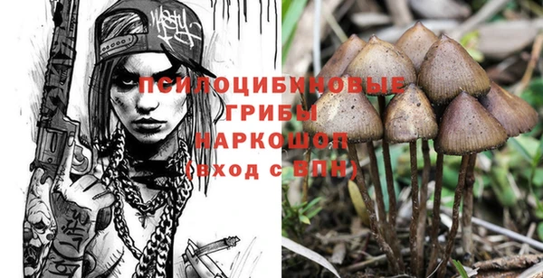 синтетический гашиш Костерёво