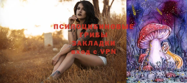 spice Коряжма