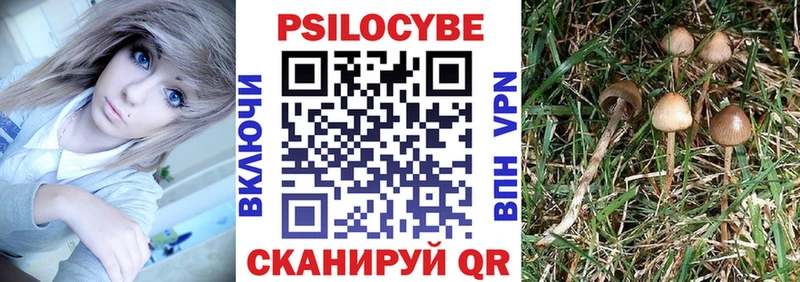 Галлюциногенные грибы Psilocybe  Купить закладки  Карталы 